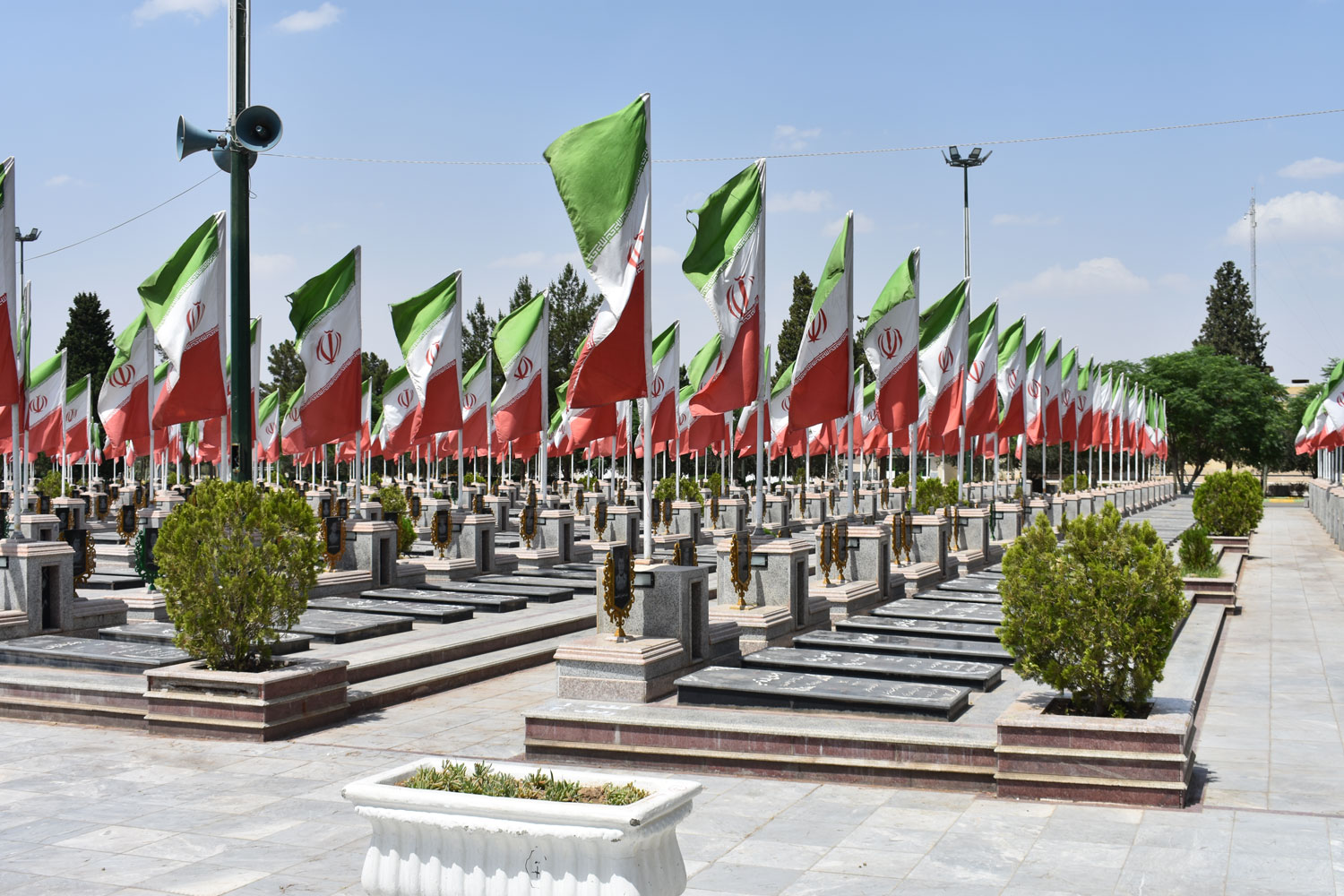 background sojehaye golzar